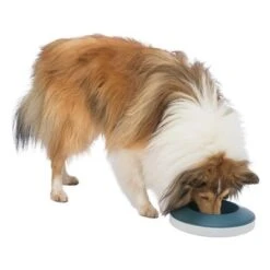 Trixie Slow Feeding Rocking Napfneu 28 Trixie Slow Feeding Rocking Napfneu -Günstiges Futter Leine Geschäft 385099 trixie slow feeding rockingnapf hs 05 4