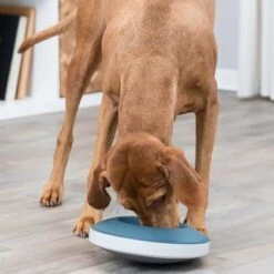 Trixie Slow Feeding Rocking Napfneu 29 Trixie Slow Feeding Rocking Napfneu -Günstiges Futter Leine Geschäft 385099 trixie slow feeding rockingnapf hs 07 2