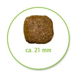 Belcando Junior Maxi -Günstiges Futter Leine Geschäft 386656 belcando junior maxi 0