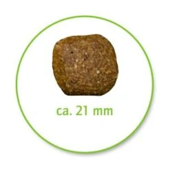 Belcando Adult Dinner 7 Belcando Adult Dinner -Günstiges Futter Leine Geschäft 386839 belcando dinner 3