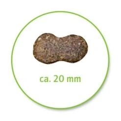 Belcando Adult Lamm & Reis -Günstiges Futter Leine Geschäft 387513 belcando lamb rice 8