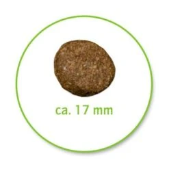 Belcando Senior Sensitive -Günstiges Futter Leine Geschäft 387515 belcando senior 4