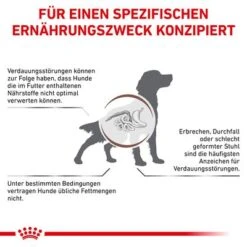Royal Canin Veterinary Canine Gastrointestinal Low Fat 12 Royal Canin Veterinary Canine Gastrointestinal Low Fat -Günstiges Futter Leine Geschäft 390500 390501 royalcanin veterinary canine gastrointestinal lowfat hs 03 0