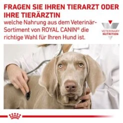 Royal Canin Veterinary Canine Gastrointestinal Low Fat 17 Royal Canin Veterinary Canine Gastrointestinal Low Fat -Günstiges Futter Leine Geschäft 390500 390501 royalcanin veterinary canine gastrointestinal lowfat hs 08 9