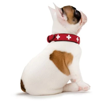 HUNTER Halsband Swiss 12 HUNTER Halsband Swiss – Bild 10