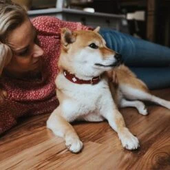 HUNTER Halsband Swiss 34 HUNTER Halsband Swiss -Günstiges Futter Leine Geschäft 404810 404811 hunter halsband swiss hs 08 0