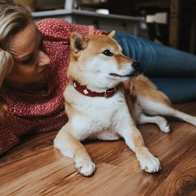 HUNTER Halsband Swiss 17 HUNTER Halsband Swiss – Bild 15