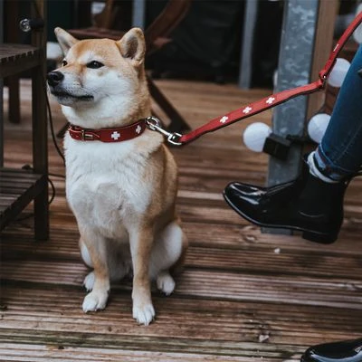 HUNTER Halsband Swiss 18 HUNTER Halsband Swiss – Bild 16