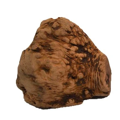 Chewies Kauwurzel Für Welpen Und Hunde 4 Chewies Kauwurzel Für Welpen Und Hunde – Bild 2