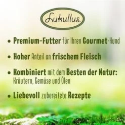 5 + 1 Gratis! 6 X 400 G Lukullus Naturkost Mixpaket -Günstiges Futter Leine Geschäft 4 2022 09 lukullus benefits general 1000x1000 de 1 8
