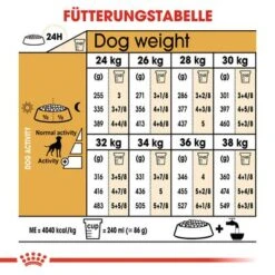 Royal Canin Boxer Adult -Günstiges Futter Leine Geschäft 61118 rc breed boxer adult hs 04 7
