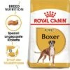 Royal Canin Boxer Adult -Günstiges Futter Leine Geschäft 61118 rc breed boxer adult hs 06 9