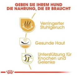 Royal Canin Bulldog Adult -Günstiges Futter Leine Geschäft 61122 rc bulldog adult hs 04 1