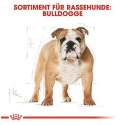 Royal Canin Bulldog Adult -Günstiges Futter Leine Geschäft 61122 rc bulldog adult hs 05 9