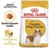 Royal Canin Cavalier King Charles Adult -Günstiges Futter Leine Geschäft 61124 rc cavalier king charles hs 01 0