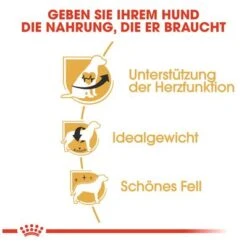 Royal Canin Cavalier King Charles Adult -Günstiges Futter Leine Geschäft 61124 rc cavalier king charles hs 04 5