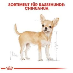 Royal Canin Chihuahua Adult -Günstiges Futter Leine Geschäft 61127 rc chihuahua adult hs 01 3
