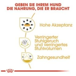 Royal Canin Chihuahua Adult -Günstiges Futter Leine Geschäft 61127 rc chihuahua adult hs 02 5