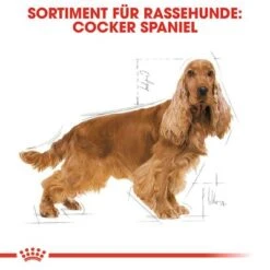 Royal Canin Cocker Adult 14 Royal Canin Cocker Adult -Günstiges Futter Leine Geschäft 61129 rc breed cocker adult hs 01 8