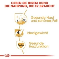 Royal Canin Cocker Adult 13 Royal Canin Cocker Adult -Günstiges Futter Leine Geschäft 61129 rc breed cocker adult hs 03 5