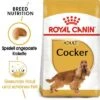 Royal Canin Cocker Adult -Günstiges Futter Leine Geschäft 61129 rc breed cocker adult mainpic 4