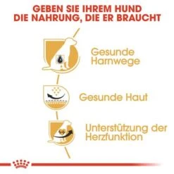 Royal Canin Dalmatian Adult -Günstiges Futter Leine Geschäft 61132 rc bhn dalmatian cv eretailkit 3 de 3