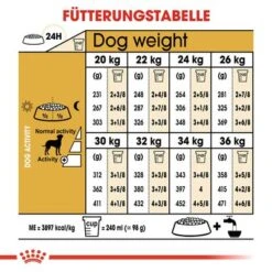 Royal Canin Dalmatian Adult -Günstiges Futter Leine Geschäft 61132 rc bhn dalmatian cv eretailkit de 8