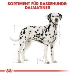 Royal Canin Dalmatian Adult -Günstiges Futter Leine Geschäft 61132 rc bhn dalmatian cv hs 01 de 9