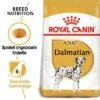 Royal Canin Dalmatian Adult -Günstiges Futter Leine Geschäft 61132 rc bhn dalmatian mv eretailkit 2