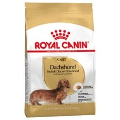Sparpaket Royal Canin 30 Sparpaket Royal Canin -Günstiges Futter Leine Geschäft 61135 pla royalcanin adulthund dachshund 6