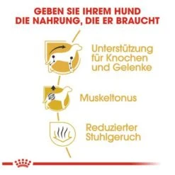 Royal Canin Dachshund Adult -Günstiges Futter Leine Geschäft 61135 rc dachshund hs 03 9