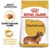 Royal Canin Dachshund Adult -Günstiges Futter Leine Geschäft 61135 rc dachshund hs 06 1