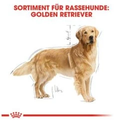 Royal Canin Golden Retriever Adult -Günstiges Futter Leine Geschäft 61146 rc golden retriever hs 01 2