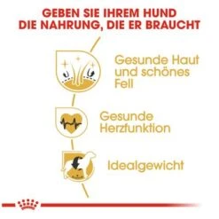 Royal Canin Golden Retriever Adult -Günstiges Futter Leine Geschäft 61146 rc golden retriever hs 03 8