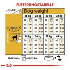 Royal Canin Golden Retriever Adult -Günstiges Futter Leine Geschäft 61146 rc golden retriever hs 04 2