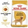 Royal Canin Golden Retriever Adult -Günstiges Futter Leine Geschäft 61146 rc golden retriever hs 06 9