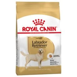 Sparpaket Royal Canin 26 Sparpaket Royal Canin -Günstiges Futter Leine Geschäft 61151 pla royalcanin adulthund labradorretriever 5