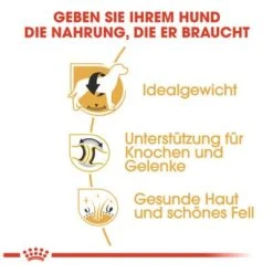 Royal Canin Labrador Retriever Adult 13 Royal Canin Labrador Retriever Adult -Günstiges Futter Leine Geschäft 61151 rc labrador retriever hs 04 4