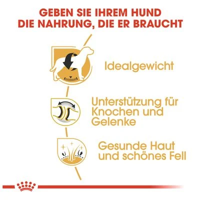 Royal Canin Labrador Retriever Adult 7 Royal Canin Labrador Retriever Adult – Bild 5