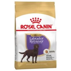 Sparpaket Royal Canin 24 Sparpaket Royal Canin -Günstiges Futter Leine Geschäft 61153 pla royalcanin adulthund labradotsterilised 4