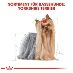 Royal Canin Yorkshire Terrier Adult -Günstiges Futter Leine Geschäft 61173 rc yorkshire terrier hs 01 0