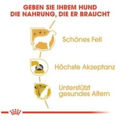 Royal Canin Yorkshire Terrier Adult -Günstiges Futter Leine Geschäft 61173 rc yorkshire terrier hs 03 8