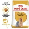 Royal Canin Yorkshire Terrier Adult -Günstiges Futter Leine Geschäft 61173 rc yorkshire terrier hs 06 5