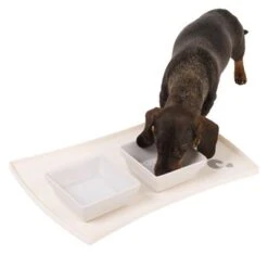 Zoolove Napfunterlage Aus Silikon -Günstiges Futter Leine Geschäft 64585 zoolove napfunterlage aus silikon dsc3259 1