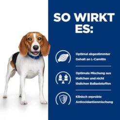 Hill's Prescription Diet R/d Weight Loss Nassfutter Für Hunde -Günstiges Futter Leine Geschäft 64662 hills prescriptiondiet rd weightreduction nassfutter hunde hs 06 8