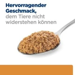Hill's Prescription Diet K/d Kidney Care Mit Huhn -Günstiges Futter Leine Geschäft 64665 hills prescriptiondiet kd kidneycare nassfutter hunde huhn hs 04 1