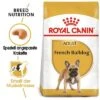 Royal Canin French Bulldog Adult