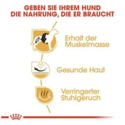 Royal Canin French Bulldog Adult -Günstiges Futter Leine Geschäft 65427 rc frenchbulldog hs 04 9