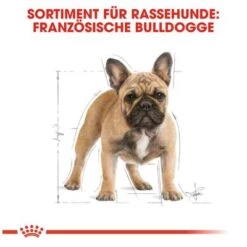Royal Canin French Bulldog Adult -Günstiges Futter Leine Geschäft 65427 rc frenchbulldog hs 05 3
