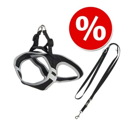 Sparset: Hunde-Softgeschirr Feel Free - Schwarz + HUNTER Führleine Ecco Sport, Schwarz 3 Sparset: Hunde-Softgeschirr Feel Free - Schwarz + HUNTER Führleine Ecco Sport, Schwarz